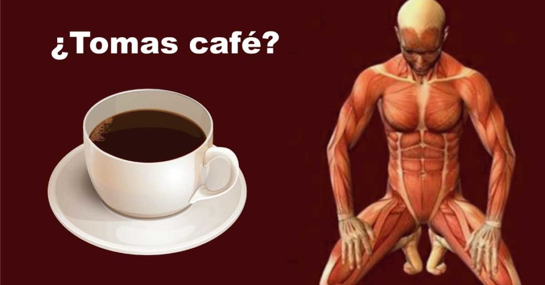 Mira lo que pasa a tu cuerpo cuando tomas café todos los días