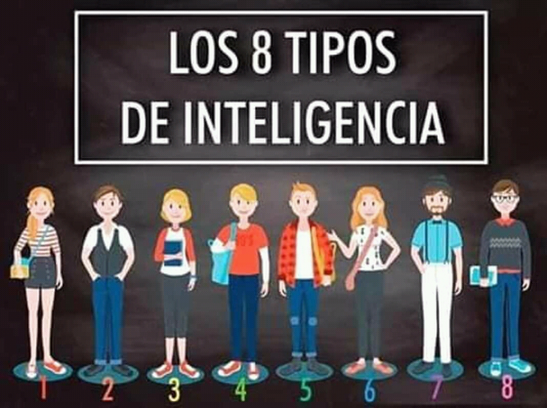 8 tipos de inteligencia.