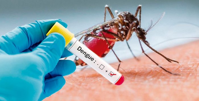 ¿Fin del mundo, eres tú? Diagnostican uno de los primeros casos de contagio de dengue por transmisión sexual en el mundo.
