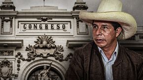 El poder ejecutivo elevará su queja ante el TC.